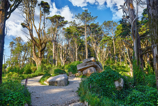 Sintra-Cascais Natural Park