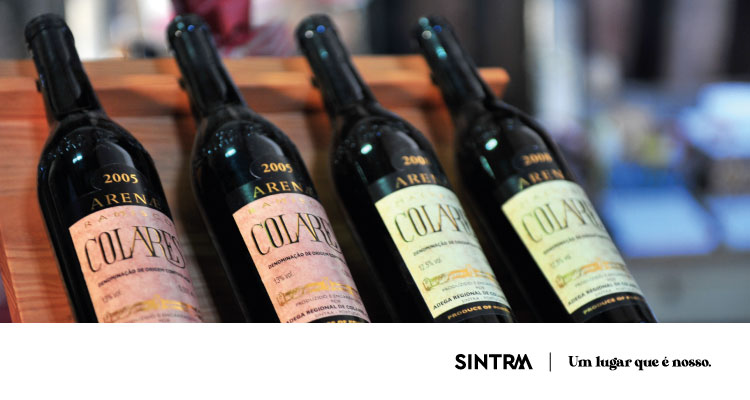 Wines of the Region