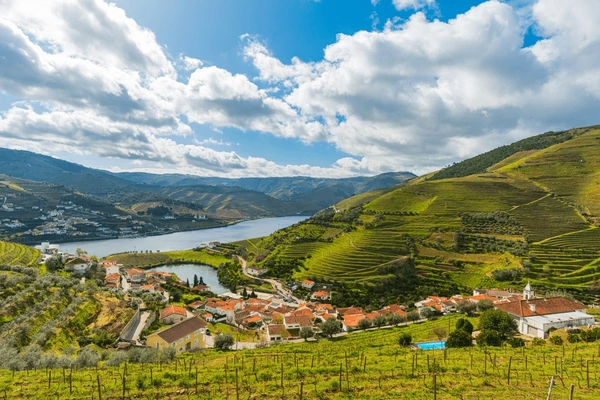 Douro: Explore a Região Vinícola Mais Deslumbrante de Portugal