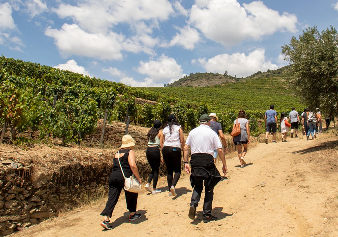 Foto de pessoas a passear pelas Vinhas do Douro.