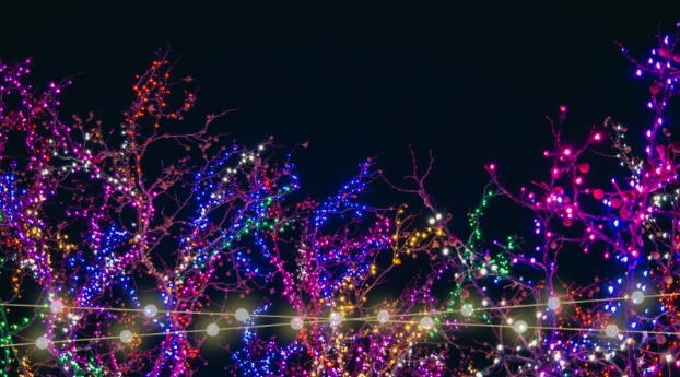 Os Melhores Locais para Ver as Luzes de Natal em Portugal