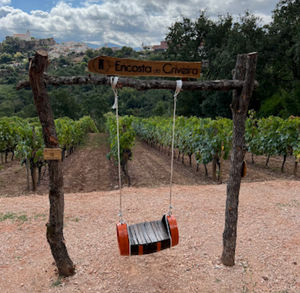 Baloiço da vinha Encosta da Criveira (Penela)