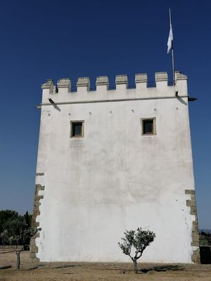 Castelo de Esporão (Reguengos de Monsaraz)