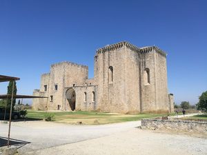 Castelo de Flor da Rosa (Crato)