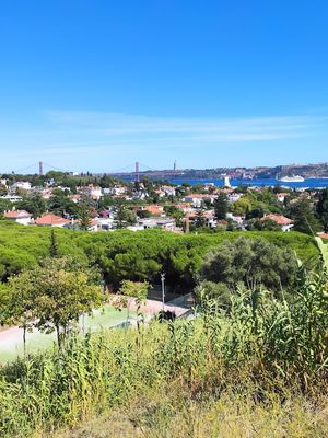 Forte do Alto do Duque (Lisboa)