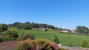 Quinta da Lixa - Vinho Verde (Felgueiras)